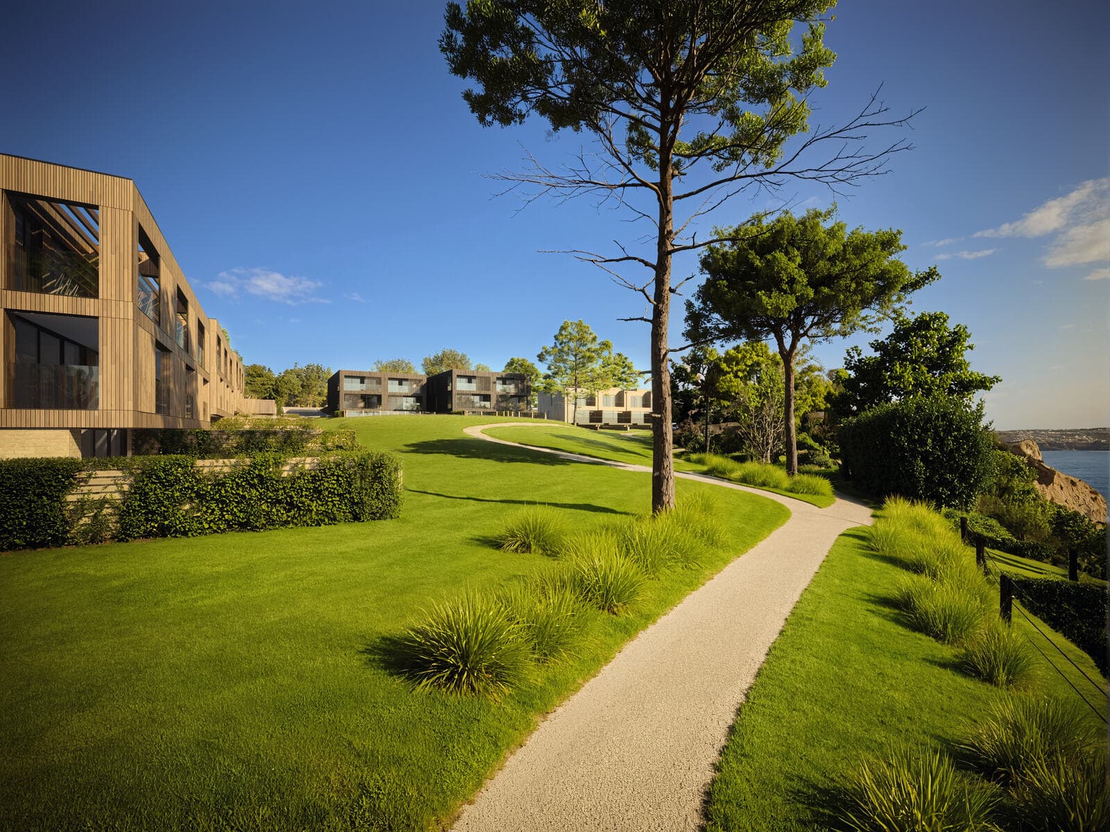 Path through the grounds beneath maritime pines